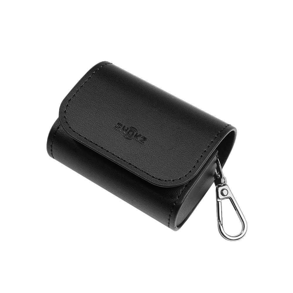 Carrying Case