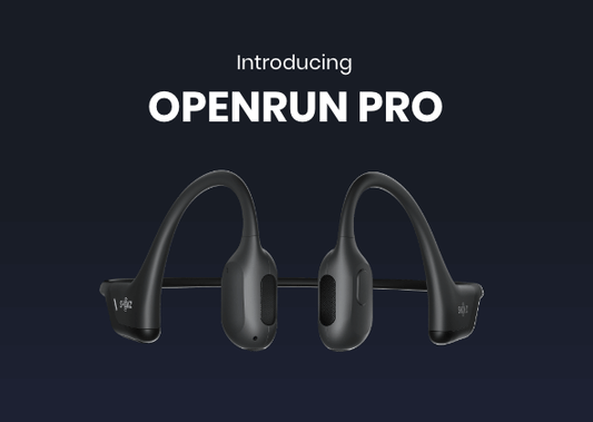 Presentazione di OpenRun Pro